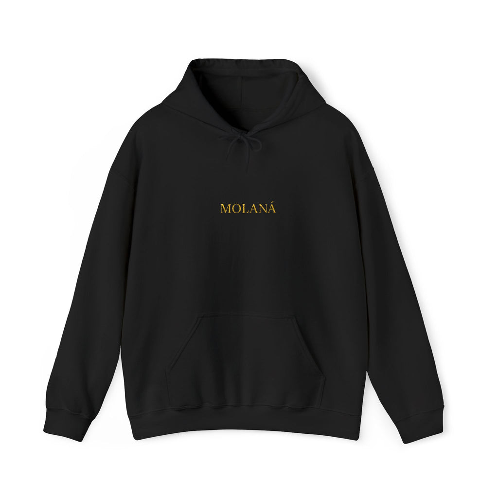 Faravahar Hoodie Double™